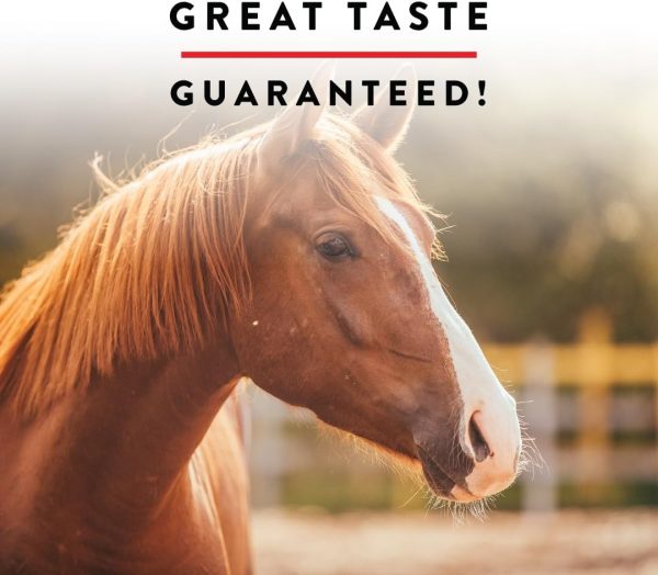 Manna Pro Apple Wafers - Treats for Horses - Image 7