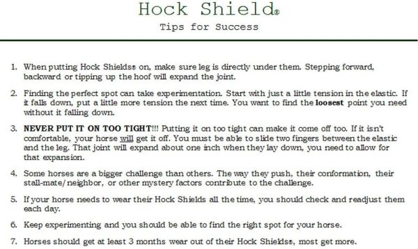 Click Horse Hock Shield, Horse Care Boots, Hock Shield for Horses - Image 3