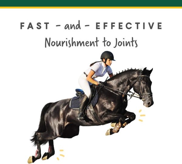 Manna Pro Corta-FLX Equine Joint Supplement | Horse Supplement for Healthy Joints | Quick & Effective Nourishment to Joints formulated with Vitamins and Minerals | 12 LB Pellet - Image 5