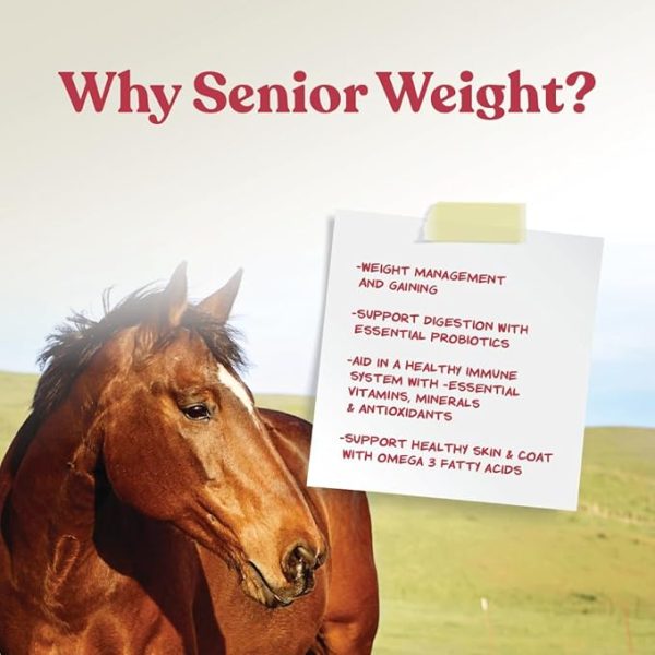 Manna Pro Weight Accelerator for Senior Horses - Image 2