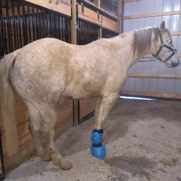 yeezo Hoof Soaking Boot Horse - Image 3