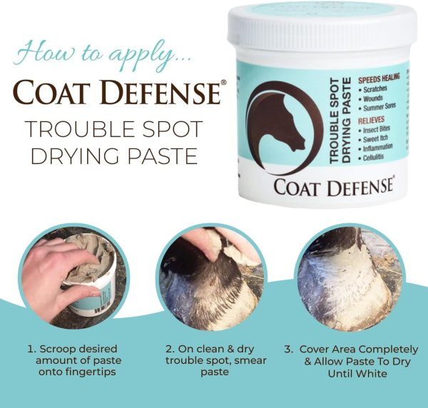 COAT DEFENSE Trouble Spot Drying Paste for Horses - Image 5