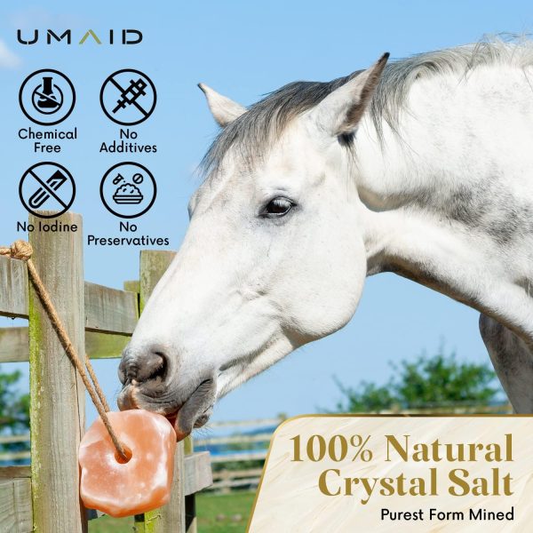 UMAID Himalayan Salt Lick 6 lbs On Rope for Horse - Image 7