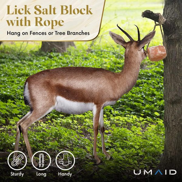 UMAID Himalayan Salt Lick 6 lbs On Rope for Horse - Image 3