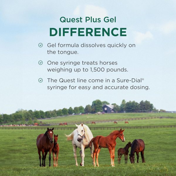 Quest Plus Gel Moxidectin/ Praziquantel Horse Dewormer - Image 4