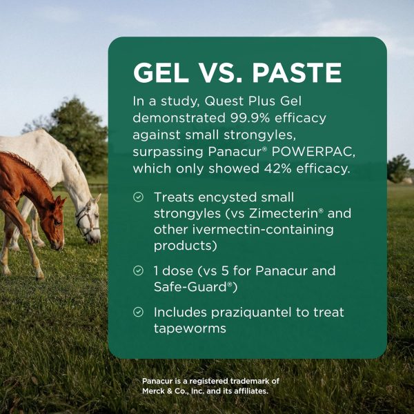 Quest Plus Gel Moxidectin/ Praziquantel Horse Dewormer - Image 5