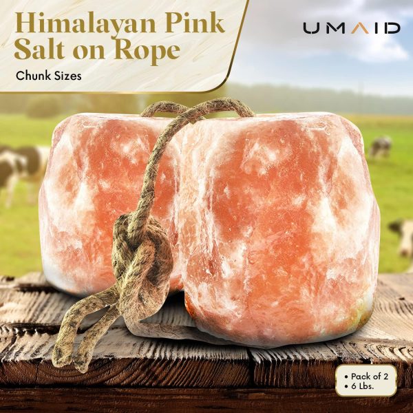 UMAID Himalayan Salt Lick 6 lbs On Rope for Horse - Image 8