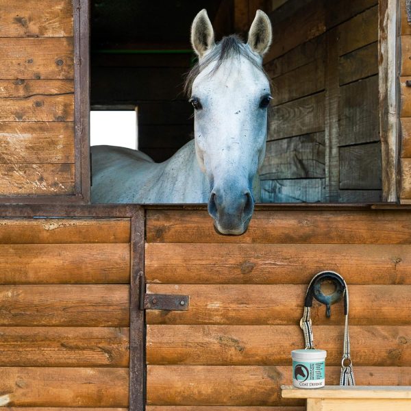 COAT DEFENSE Trouble Spot Drying Paste for Horses - Image 3