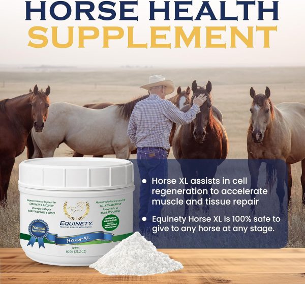 100-Day Supply Horse XL Horse Supplements - Image 8