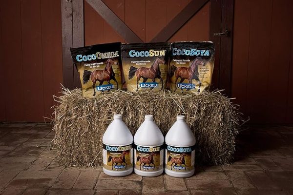 Uckele CocoSoya Oil Horse Supplement - Omega Fatty Acid Supplement for Horses - Equine Vitamin & Mineral Supplement - 5 Gallon - Image 2