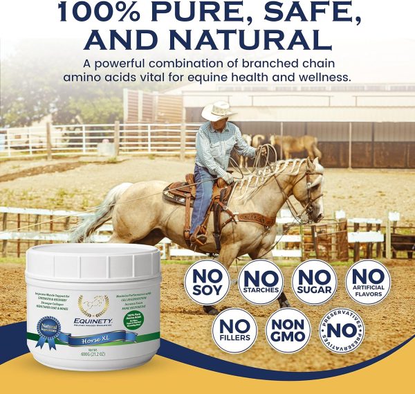 100-Day Supply Horse XL Horse Supplements - Image 4